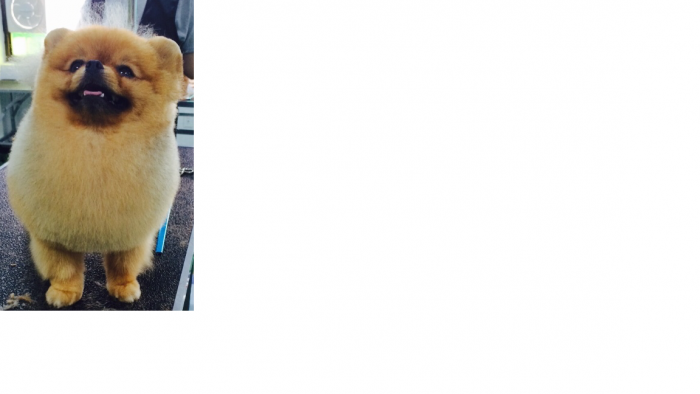 2.png