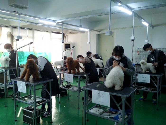 20150123_141737.jpg