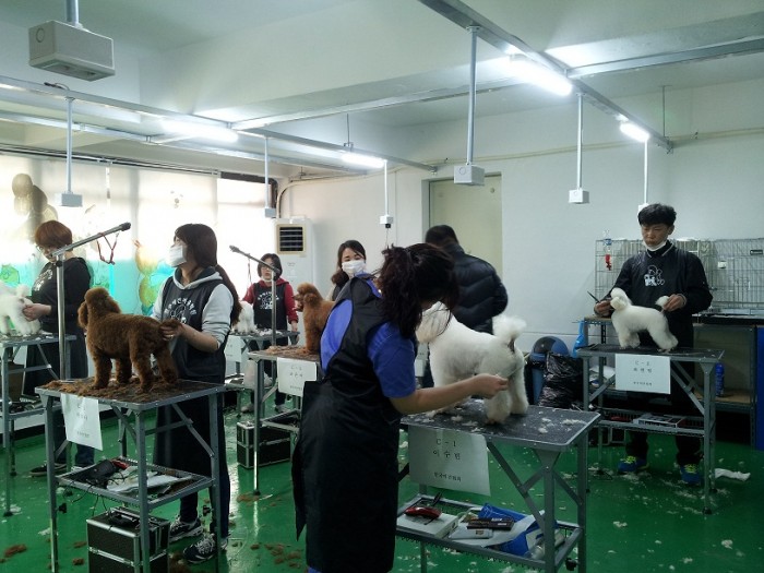20150123_160932.jpg