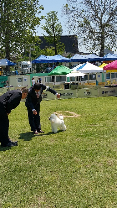 20150516_121952.jpg