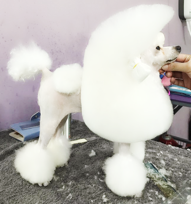 4c78f96e8de7c7d75315b014108d3488.png